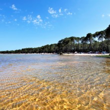 Lac de Biscarrosse